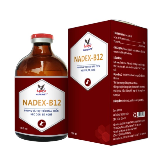 NADEX - B12
