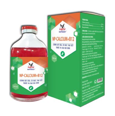NP-CALCIUM+B12