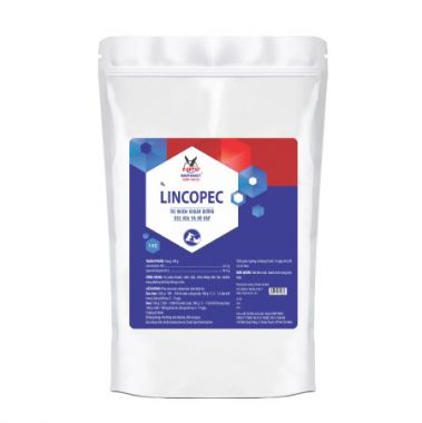 LINCOPEC