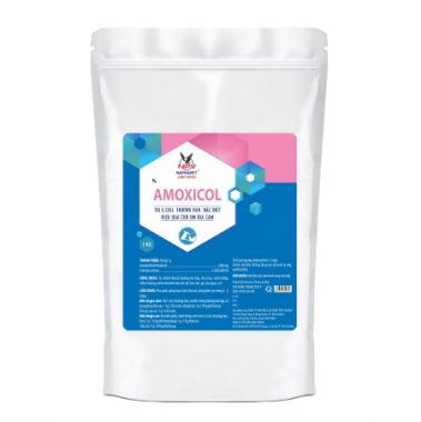 AMOXICOL