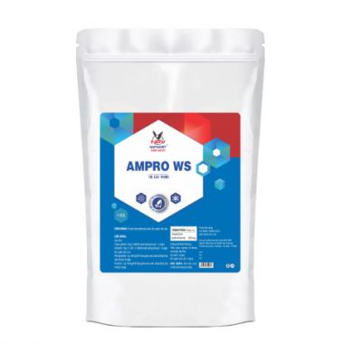 AMPRO WS