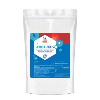 AMOX-COLIS 