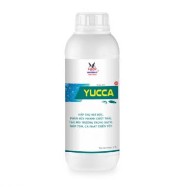 YUCCA