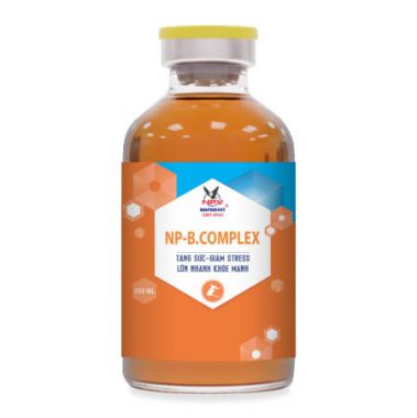 NP-B.COMPLEX