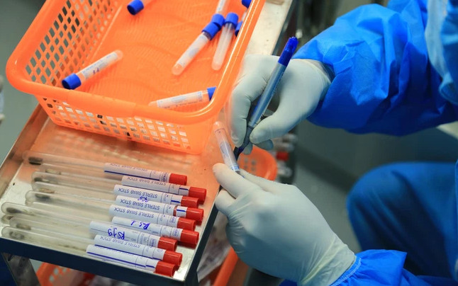 Việt Nam sẽ có vaccine Tả lợn châu Phi vào năm 2022